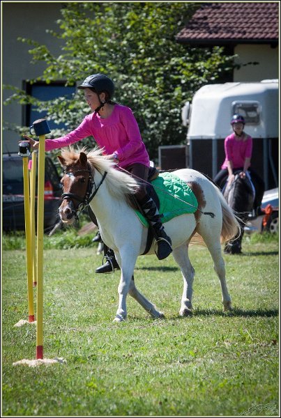 Mounted Games 100